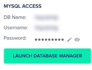 Database Manager