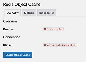 Redis Enable Object Cache