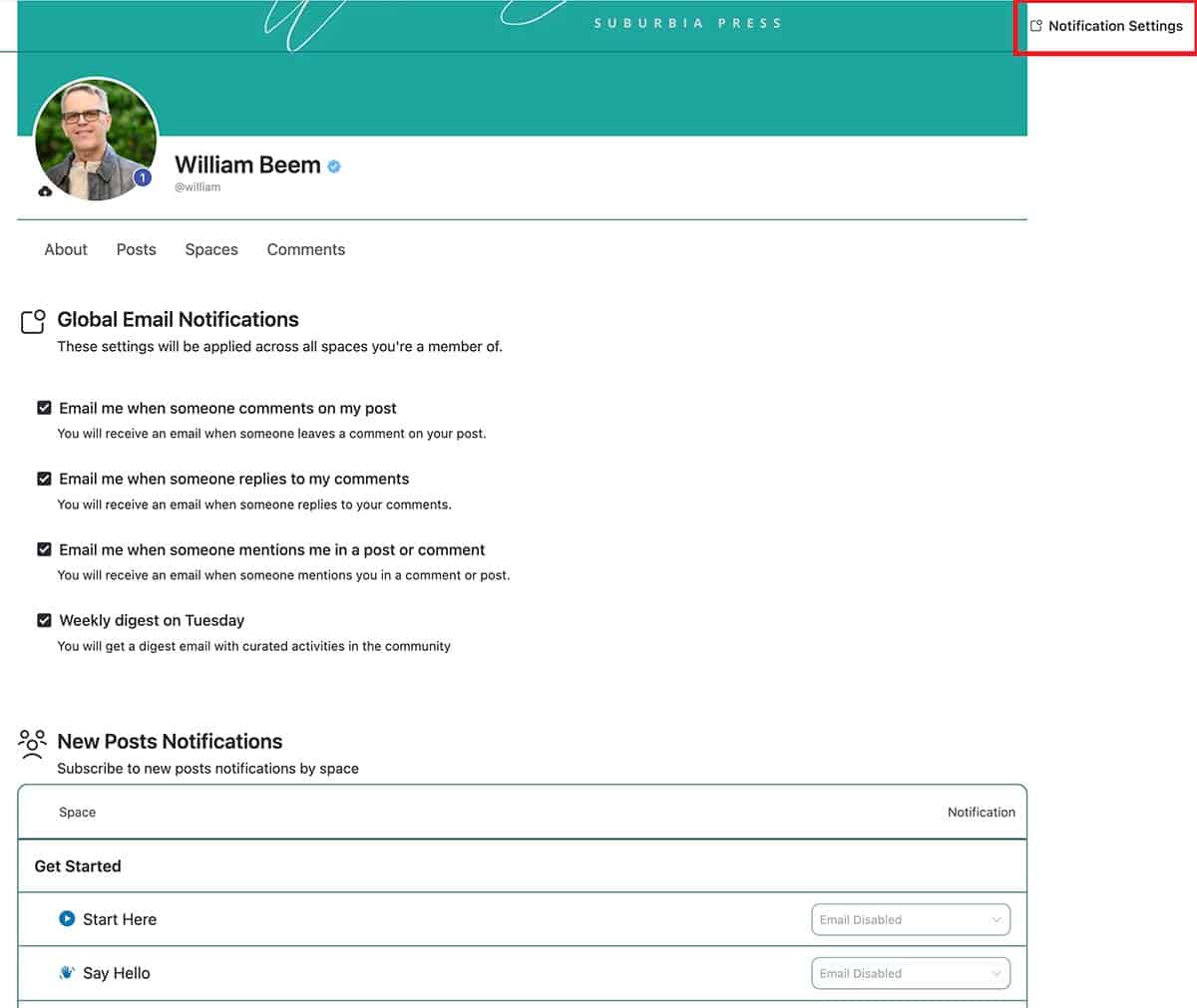 FluentCommunity Review - Notifications
